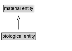 biological entity Diagram